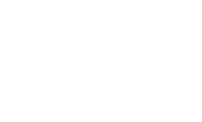 a1.png